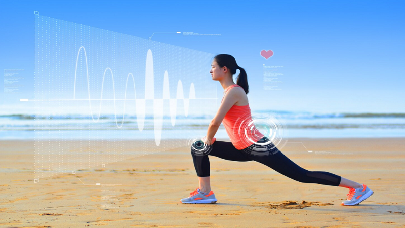 TheHealthyPrimate: A Complete Guide to Mind–Body Wellness in a Modern World